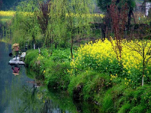 探客戶外手電筒 探客戶外手電筒